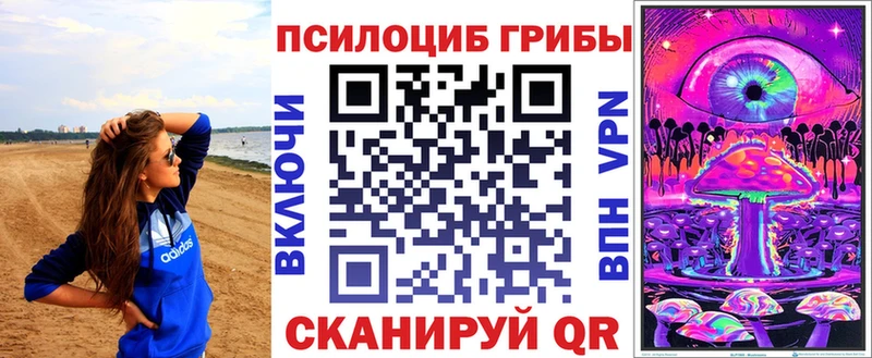 MEGA ссылка  Аргун  Псилоцибиновые грибы Cubensis 